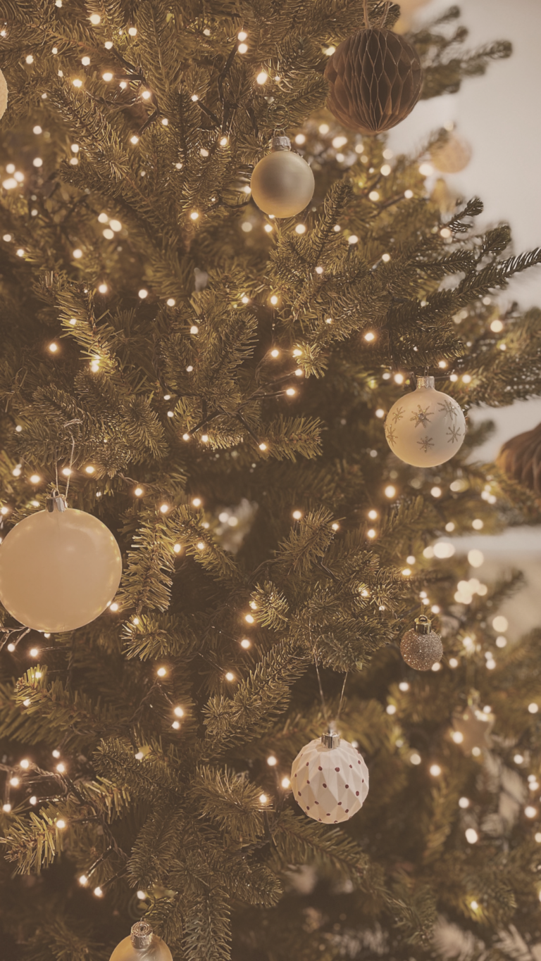 *Aesthetic* Christmas Captions for Instagram